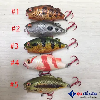 Mồi Chuối Câu Cá Gì? Công Thức Hiệu Quả Cho Mọi Loài Cá