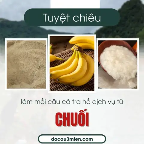 Mồi Chuối Câu Cá Tra: Công Thức Chuẩn & Bí Quyết Câu Hiệu Quả Mùa Lạnh