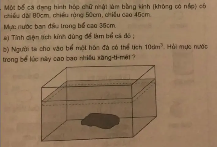 Bể Cá Hình Hộp Chữ Nhật: Kích Thước, Thể Tích Và Công Thức Tính Toán
