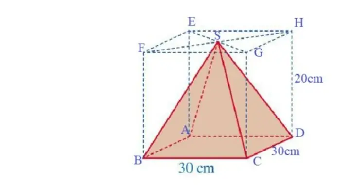 Bể Cá Hình Hộp Chữ Nhật: Kích Thước, Thể Tích Và Công Thức Tính Toán