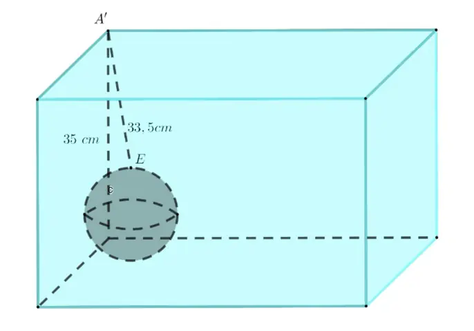 Bể Nuôi Cá Hình Hộp Chữ Nhật: Kích Thước, Diện Tích Kính Và Cách Tính Thể Tích Đầy Đủ Bể Nuôi Cá Hình Hộp Chữ Nhật: Kích Thước, Diện Tích Kính Và Cách Tính Thể Tích Đầy Đủ