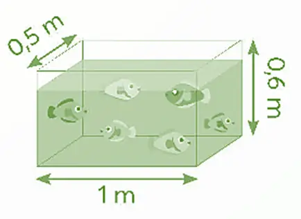 Bể Nuôi Cá Hình Hộp Chữ Nhật: Kích Thước, Diện Tích Kính Và Cách Tính Thể Tích Đầy Đủ Bể Nuôi Cá Hình Hộp Chữ Nhật: Kích Thước, Diện Tích Kính Và Cách Tính Thể Tích Đầy Đủ