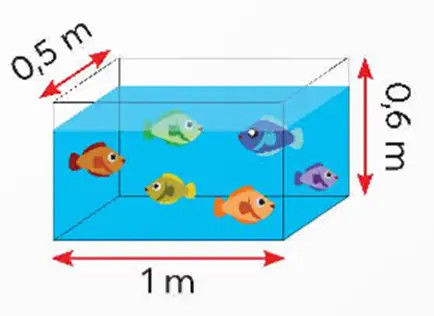 Bể Nuôi Cá Hình Hộp Chữ Nhật: Kích Thước, Diện Tích Kính Và Cách Tính Thể Tích Đầy Đủ Bể Nuôi Cá Hình Hộp Chữ Nhật: Kích Thước, Diện Tích Kính Và Cách Tính Thể Tích Đầy Đủ