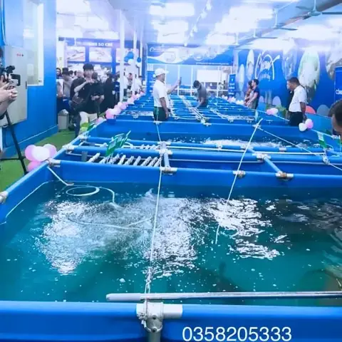 Mua Bạt Nuôi Cá Tphcm: Địa Chỉ, Giá Bán & Kinh Nghiệm Chọn Mua