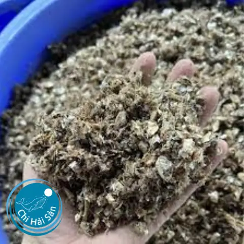 Mua Cá Bột Ở Đâu Uy Tín, Chất Lượng & Giá Tốt Nhất 2024