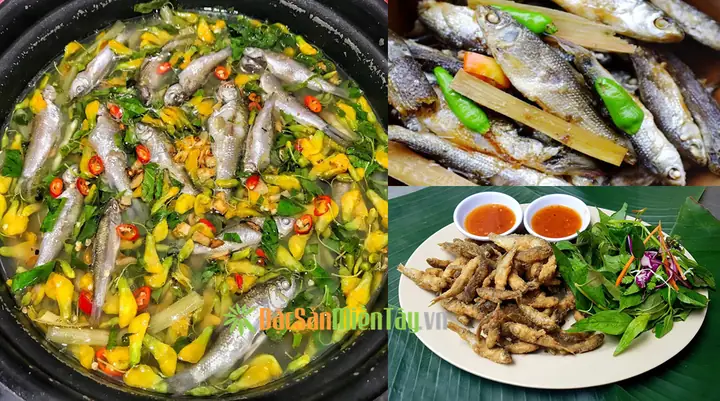Mùa Cá Linh Đồng Tháp: Thời Điểm, Địa Điểm Và Đặc Sản Mùa Nước Nổi