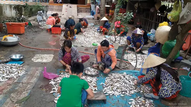 Mùa Cá Linh Đồng Tháp: Thời Điểm, Địa Điểm Và Đặc Sản Mùa Nước Nổi