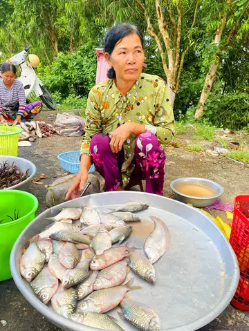 Mùa Cá Mè Vinh: Thời Điểm, Món Ngon Và Kinh Nghiệm Câu Cá Đặc Sản Miền Tây Mùa Cá Mè Vinh: Thời Điểm, Món Ngon Và Kinh Nghiệm Câu Cá Đặc Sản Miền Tây