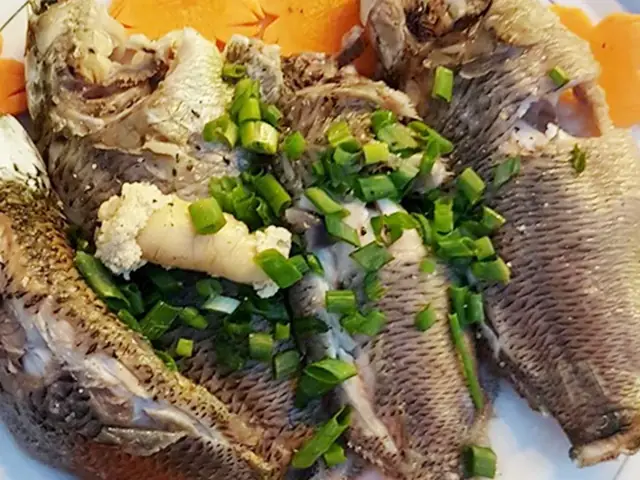 Cá Rô Mùa Đông Ẩn Náu Ở Đâu? Giải Đáp Nơi Trú Đông Của Loài Cá