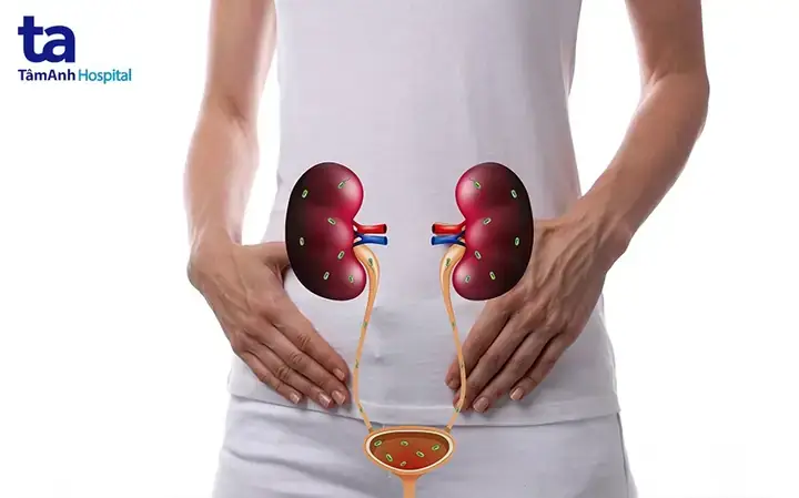 Cá Rô Mùa Đông Ẩn Náu Ở Đâu? Giải Đáp Nơi Trú Đông Của Loài Cá