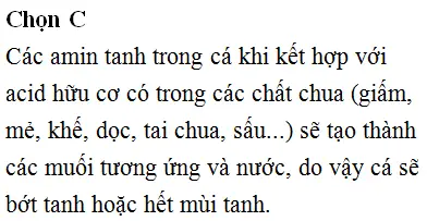 Mùi Tanh Của Cá: Bản Chất Các Amin Và Cách Khử Hiệu Quả