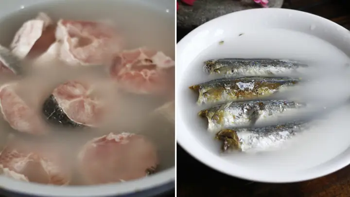 Mùi Tanh Của Cá: Bản Chất Các Amin Và Cách Khử Hiệu Quả