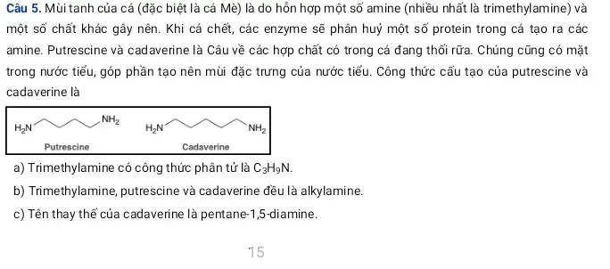 Mùi Tanh Của Cá: Bản Chất Các Amin Và Cách Khử Hiệu Quả