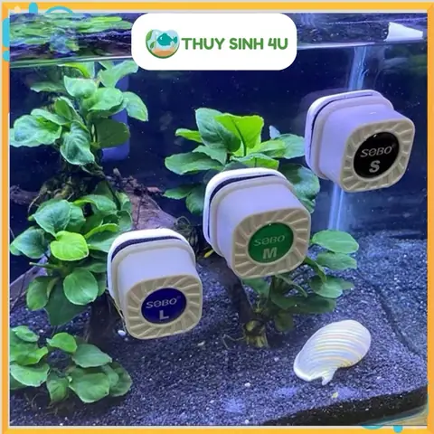 Cọ Bể Nam Châm: Hướng Dẫn Chọn Mua & Sử Dụng Hiệu Quả Cho Bể Cá Cảnh