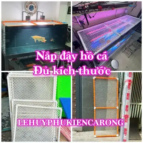 Hướng Dẫn Chọn & Lắp Đặt Nắp Hồ Cá Rồng An Toàn, Đẹp Mắt