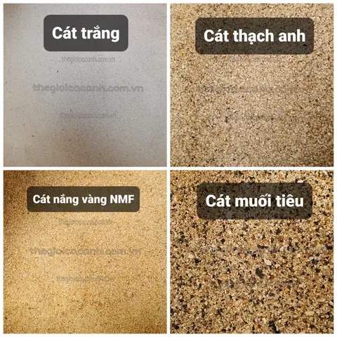 Nền Cát Cho Bể Cá: Lợi Ích, Cách Chọn Và Setup Chi Tiết