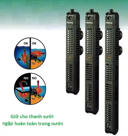 Nên Dùng Sưởi Bể Cá Loại Nào Tốt Nhất Hiện Nay: Hướng Dẫn Chi Tiết
