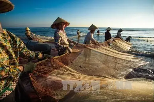 Nghề Đánh Bắt Cá Biển: Khám Phá Truyền Thống, Kỹ Thuật Và Giá Trị Bền Vững Nghề Đánh Bắt Cá Biển: Khám Phá Truyền Thống, Kỹ Thuật Và Giá Trị Bền Vững