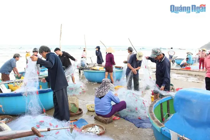 Nghề Đánh Bắt Cá Biển: Khám Phá Truyền Thống, Kỹ Thuật Và Giá Trị Bền Vững Nghề Đánh Bắt Cá Biển: Khám Phá Truyền Thống, Kỹ Thuật Và Giá Trị Bền Vững