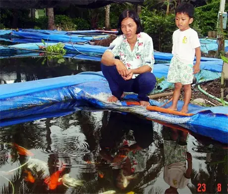 Nghề Nuôi Cá Cảnh: Tiềm Năng, Kỹ Thuật Và Lợi Ích Không Ngờ Nghề Nuôi Cá Cảnh: Tiềm Năng, Kỹ Thuật Và Lợi Ích Không Ngờ