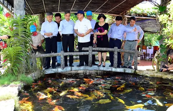 Nghề Nuôi Cá Cảnh: Tiềm Năng, Kỹ Thuật Và Lợi Ích Không Ngờ Nghề Nuôi Cá Cảnh: Tiềm Năng, Kỹ Thuật Và Lợi Ích Không Ngờ