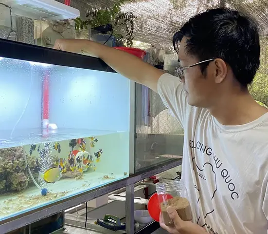Nghề Nuôi Cá Cảnh: Tiềm Năng, Kỹ Thuật Và Lợi Ích Không Ngờ Nghề Nuôi Cá Cảnh: Tiềm Năng, Kỹ Thuật Và Lợi Ích Không Ngờ