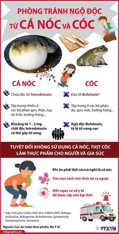 Ngộ Độc Cá Nóc: Cách Xử Trí, Triệu Chứng Và Phòng Ngừa Hiệu Quả