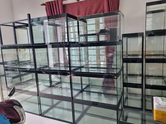 Nhận Làm Hồ Cá Cảnh Uy Tín, Thiết Kế Theo Yêu Cầu Tại Tphcm