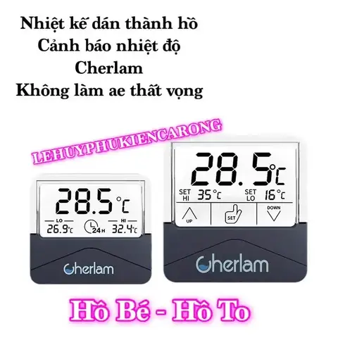 Nhiệt Độ Lý Tưởng Để Nuôi Cá Rồng Khỏe Mạnh Và Phát Triển Màu Sắc Nhiệt Độ Lý Tưởng Để Nuôi Cá Rồng Khỏe Mạnh Và Phát Triển Màu Sắc