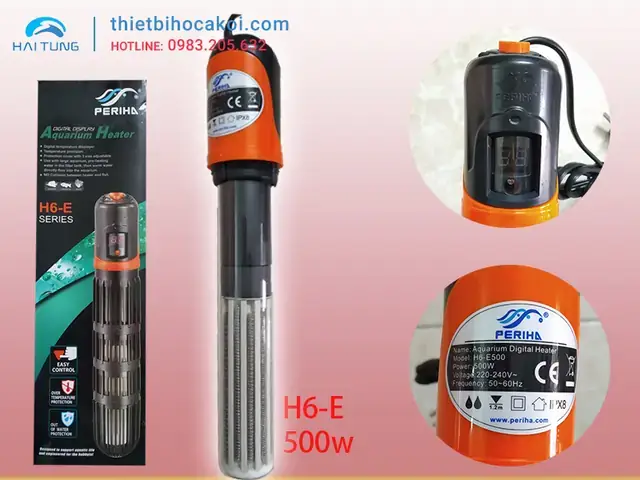 Nhiệt Độ Lý Tưởng Để Nuôi Cá Rồng Khỏe Mạnh Và Phát Triển Màu Sắc Nhiệt Độ Lý Tưởng Để Nuôi Cá Rồng Khỏe Mạnh Và Phát Triển Màu Sắc