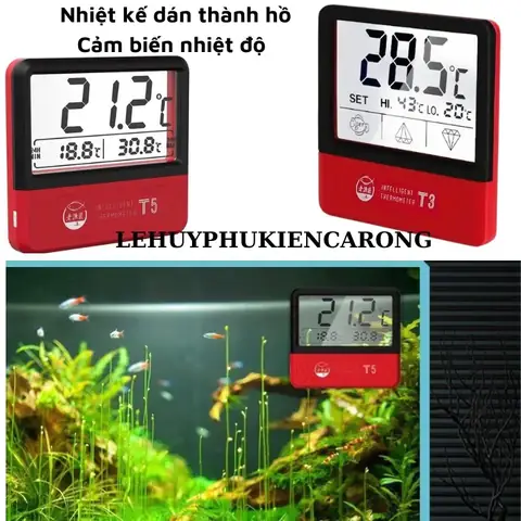 Nhiệt Độ Lý Tưởng Để Nuôi Cá Rồng Khỏe Mạnh Và Phát Triển Màu Sắc Nhiệt Độ Lý Tưởng Để Nuôi Cá Rồng Khỏe Mạnh Và Phát Triển Màu Sắc