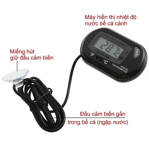 Nhiệt Kế Bể Cá: Hướng Dẫn Chọn Lựa Và Sử Dụng Hiệu Quả