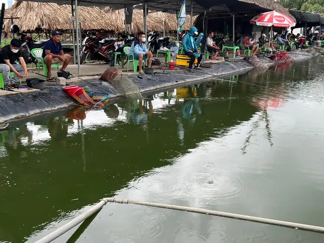 Top 10 Địa Điểm Câu Cá Hấp Dẫn Nhất Tại Tp.hcm Cho Cần Thủ