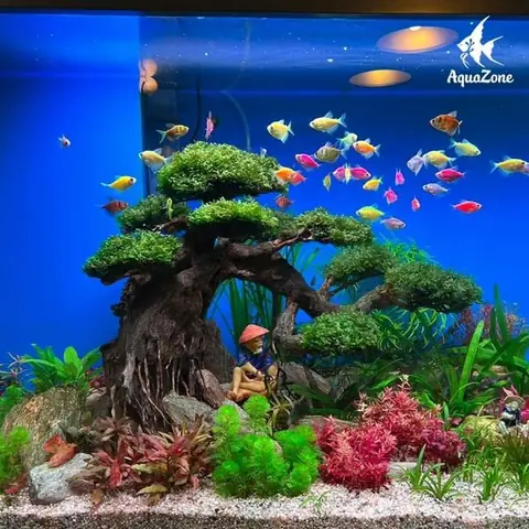 Top 100+ Mẫu Hồ Cá Đẹp Nhất: Hướng Dẫn Chi Tiết Từ A-z