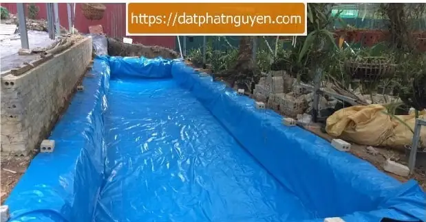 Hướng Dẫn Nuôi Cá Bằng Bạt Hiệu Quả: Lựa Chọn Bạt, Kỹ Thuật Thi Công & Các Loại Cá Phù Hợp