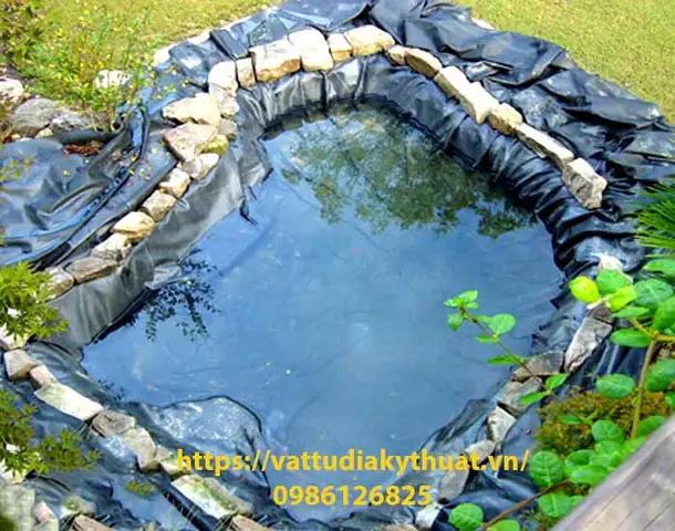 Hướng Dẫn Nuôi Cá Bằng Bạt Hiệu Quả: Lựa Chọn Bạt, Kỹ Thuật Thi Công & Các Loại Cá Phù Hợp