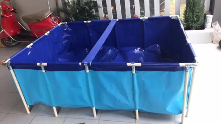 Hướng Dẫn Nuôi Cá Bằng Bạt Hiệu Quả: Lựa Chọn Bạt, Kỹ Thuật Thi Công & Các Loại Cá Phù Hợp
