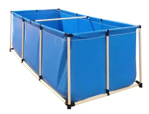 Hướng Dẫn Nuôi Cá Bằng Bạt Hiệu Quả: Lựa Chọn Bạt, Kỹ Thuật Thi Công & Các Loại Cá Phù Hợp