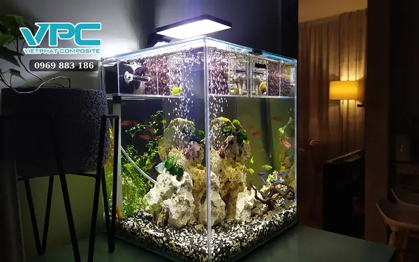 Bí Quyết Nuôi Cá Bảy Màu Trong Nhà: Hướng Dẫn Chi Tiết Cho Người Mới