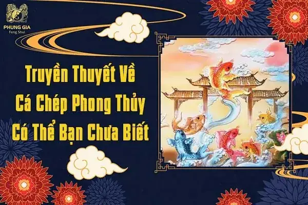 Nuôi Cá Chép Phong Thủy: Ý Nghĩa, Cách Chọn, Bố Trí & Vạn Sự Như Ý
