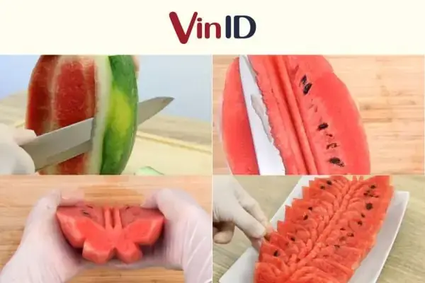 Hướng Dẫn Chi Tiết Cách Nuôi Cá Dĩa Bột Khỏe Mạnh, Phát Triển Tốt