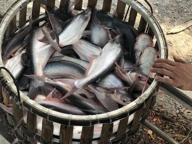 Nuôi Cá Gì Làm Giàu? Top Loài Cá Lợi Nhuận Cao Dễ Nuôi Nhất Hiện Nay Nuôi Cá Gì Làm Giàu? Top Loài Cá Lợi Nhuận Cao Dễ Nuôi Nhất Hiện Nay