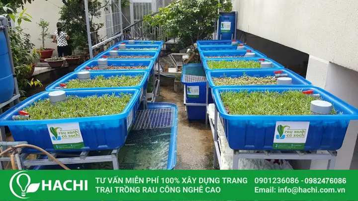 Mô Hình Nuôi Cá Kết Hợp: Bí Quyết Nhân Đôi Thu Nhập & Nông Nghiệp Bền Vững