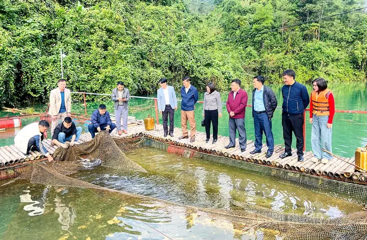 Hướng Dẫn Nuôi Cá Lăng Chấm Thương Phẩm Chi Tiết Từ A-z Hướng Dẫn Nuôi Cá Lăng Chấm Thương Phẩm Chi Tiết Từ A-z