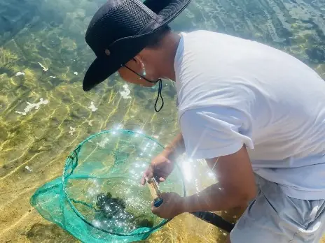 Kỹ Thuật Nuôi Cá Mú Trong Ao Đất Hiệu Quả Cho Người Mới Bắt Đầu