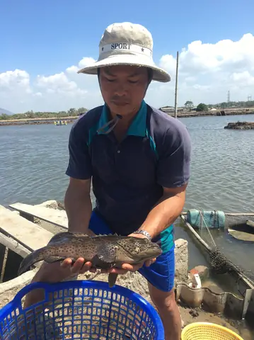 Nuôi Cá Nước Mặn Tại Nhà: Hướng Dẫn Chi Tiết Cho Người Mới Bắt Đầu
