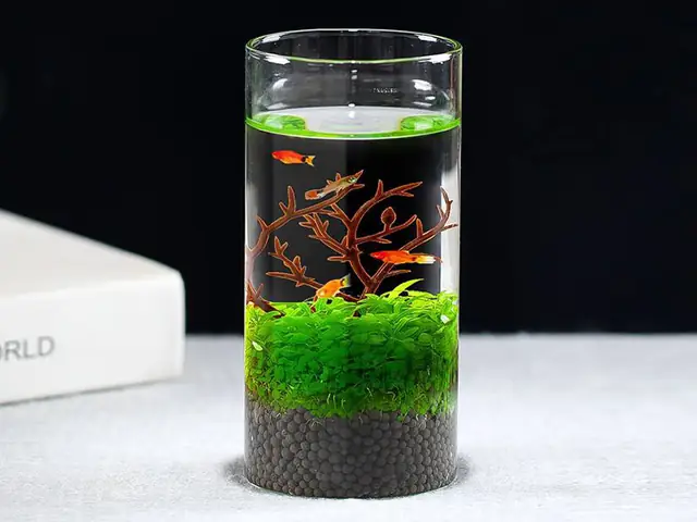 Nuôi Cá Tiếng Anh Là Gì? Các Thuật Ngữ Phổ Biến & Mở Rộng Nuôi Cá Tiếng Anh Là Gì? Các Thuật Ngữ Phổ Biến & Mở Rộng
