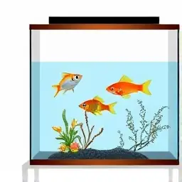 Nuôi Cá Tiếng Anh Là Gì? Các Thuật Ngữ Phổ Biến & Mở Rộng Nuôi Cá Tiếng Anh Là Gì? Các Thuật Ngữ Phổ Biến & Mở Rộng