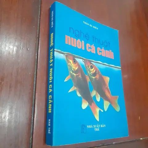 Nuôi Cá Tiếng Anh Là Gì? Các Thuật Ngữ Phổ Biến & Mở Rộng Nuôi Cá Tiếng Anh Là Gì? Các Thuật Ngữ Phổ Biến & Mở Rộng