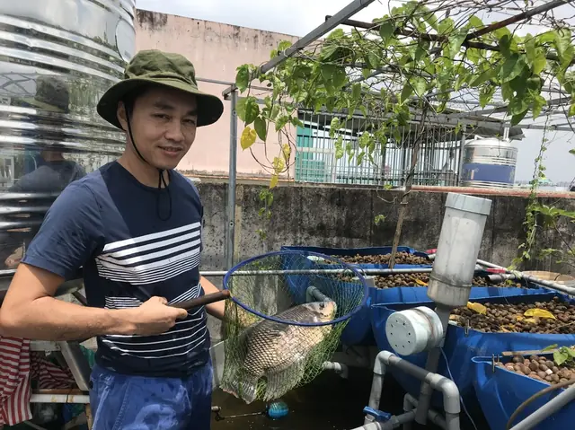 Nuôi Cá Trên Sân Thượng: Hướng Dẫn Chi Tiết Từ A-z Cho Người Mới Bắt Đầu Nuôi Cá Trên Sân Thượng: Hướng Dẫn Chi Tiết Từ A-z Cho Người Mới Bắt Đầu